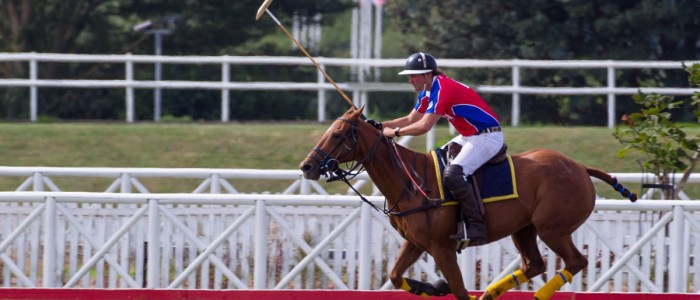 Polo rider in motion